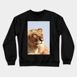 African Lion, Serengeti, Tanzania Crewneck Sweatshirt